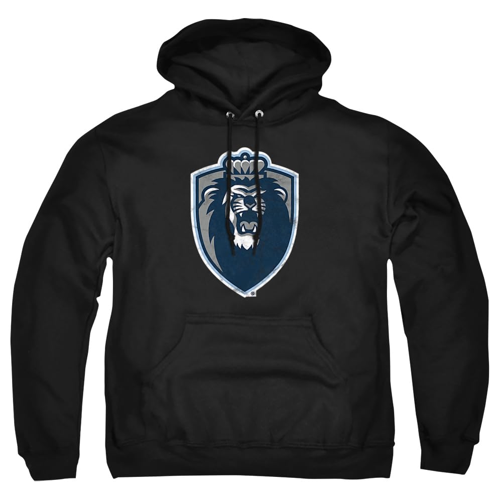LOGOVISION Official Collegiate Distressed Primary Logo Adult Pullover Hoodie Collection — view 117