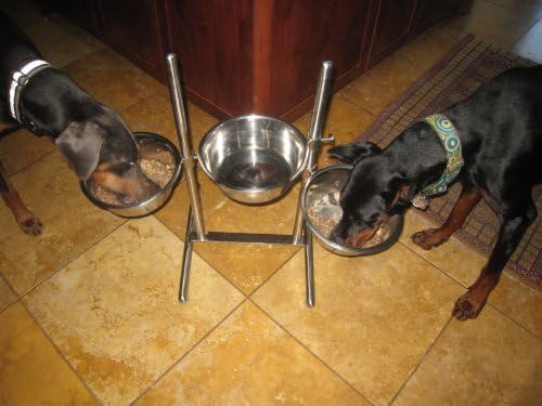 AdjustaBowl - dog feeding system; individually adjustable, elevated dog bowls (formerly known as Jazzy Diner)
