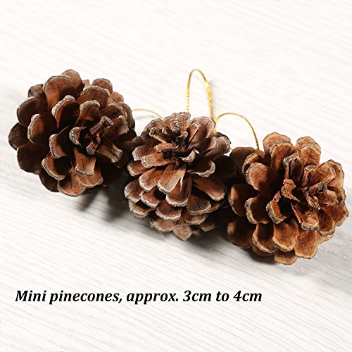 Cooraby 27 Pieces Mini Pine Cones Christmas Pinecones Natural Hanging Ornament 3-4Cm Pine Cones Pendant With String Tag Decoration #TOP1
