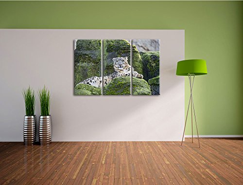 Pixxprint Neve loepardo su Pietra Stampa su Tela 3...