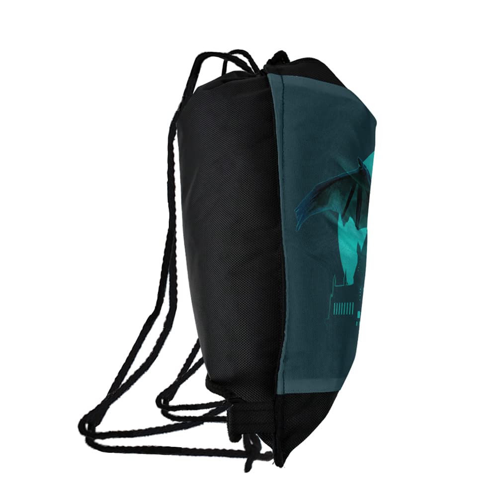 LOGOVISION Harry Potter Thestral Drawstring Backpack Sports Bag Sackpack 17