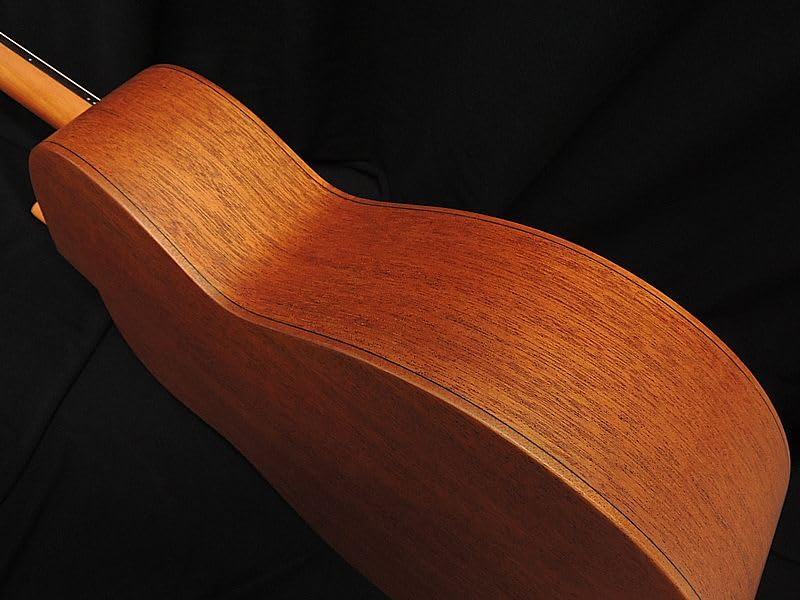 ★入手困難★aNueNue Bird L10　トップ シトカスプルース単板美品 Amazon | aNueNue Bird Guitar aNN-L10E Solid Sitka Spruce Top