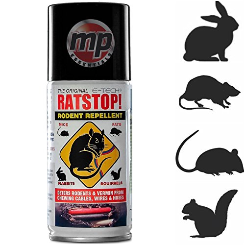 10 Best Squirrel Repellent Sprays 2024 There's One Clear Winner