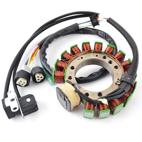 Stator d'allumage résout panne démarrage Big Bear 350 1YW-85510-21