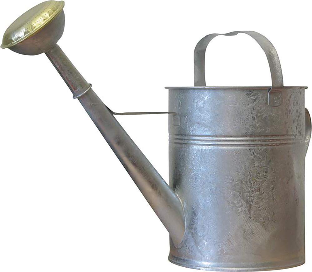 Arrosoir en tôle 10 l