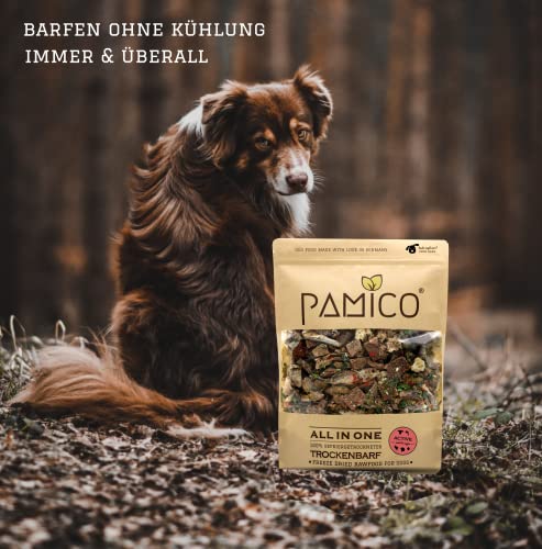 PAMICO Trockenbarf All in One Active mit Rind, Fisch, Spinat, Blumenkohl und Erdbeere 500g - 100% gefriergetrocknet, Barf Hundefutter ohne Zusätze getreidefrei