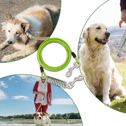 Amexo Hundeleine für Hunde, 3m Hofleine mit Stoßdämpfender, Bissfeste Hundeleine für Mittlere und Große Hunde, Tie Out Cables Leinen für Camping Park im Freien Laufen