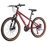 SPATIAL MTB Bicicleta de Montaña para Adultos y Jóvenes - 29/27, Asiento Ajustable