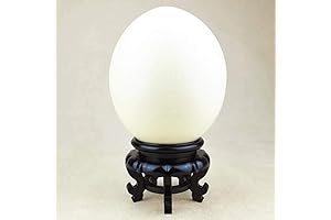 Fdit Ostrich Egg Stand Display Stand Carving Crafts