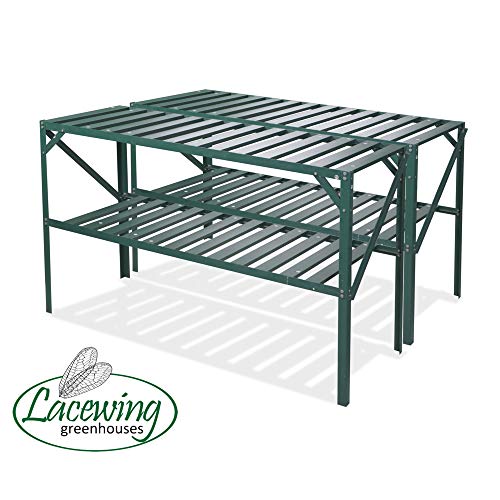 Lacewing Scaffale a 2 Livelli Verde Premium 2