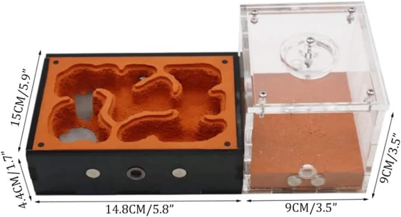 Ant Farm Acrylic Ant Castle Concrete with Feeding Area Farm Study Behavior Ecosystem Nest Habitat(Nest Area)