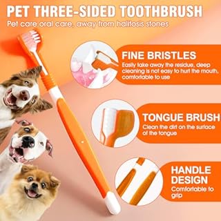 Spazzolino e Dentifricio per Cani, Dentifricio Gatti, Dentifricio Cani, Dentifricio Cane, Include uno Spazzolino da Denti per Prevenire la Placca e il Tartaro e Rinfrescare l'Alito, 100G