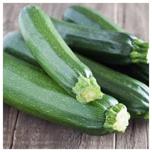 PREMIER SEEDS DIRECT - COURGETTE - Ambassador F1-25 Finest Seeds