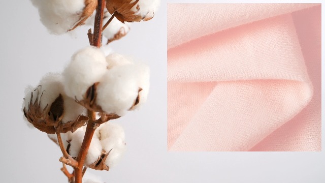 Mutandine Bambina In Cotone Domee - Confezione Da 10 Slip Con Disegni Colorati - Foto 1
