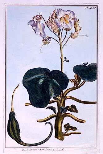Murales en lienzo de flor de probóscide PSVDCTOO, decoración elegante para tu salón de 60x90cm