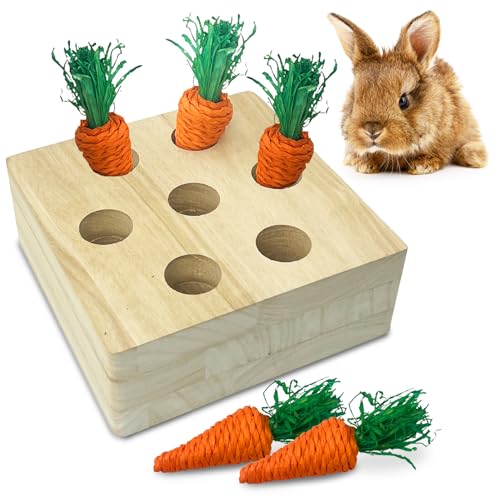 PINVNBY 6 PCS Rabbit Foraging Toys Wooden Bunny Enrichment Toy Gu...