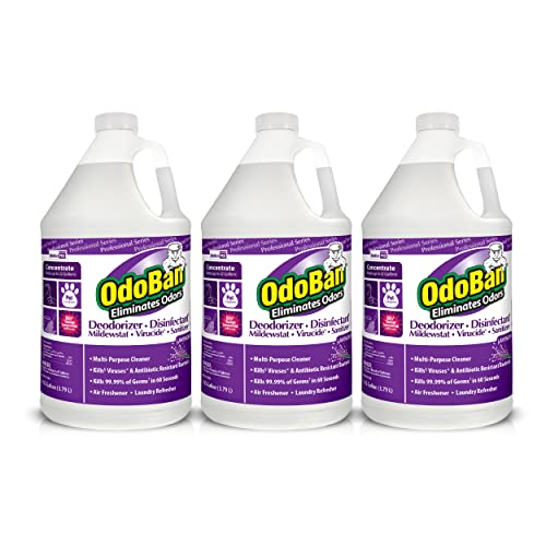 10 Best Odoban Scents A Complete Review and Buying Guide! Furry Folly