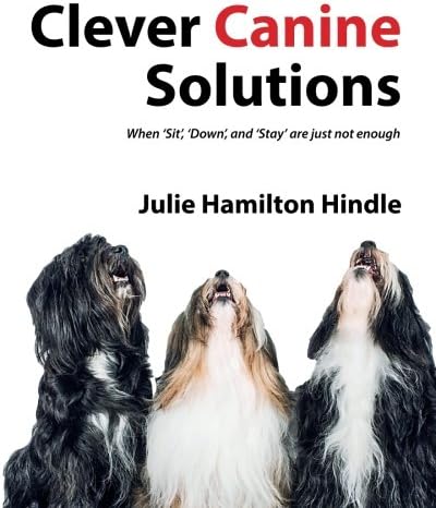 Clever Canine Solutions