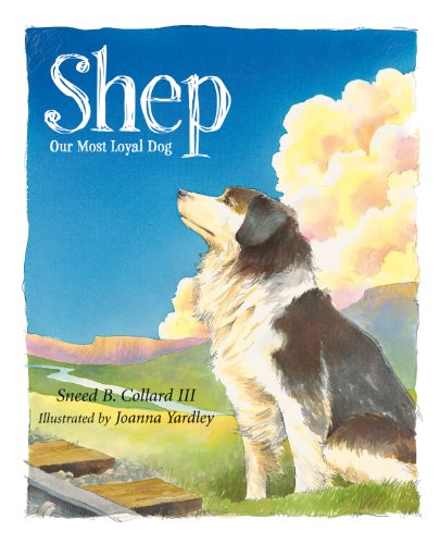 Shep: Our Most Loyal Dog (True Story)