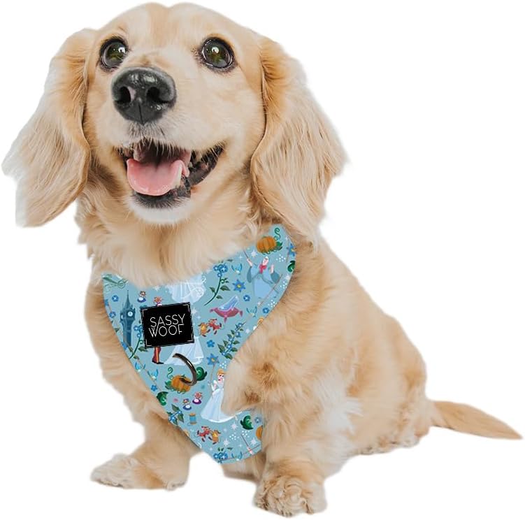 Dog Adjustable Harness - Disney Princess Cinderella - XS, Breathable Mesh, No Pull Design with Two D-Rings, Perfect for Small Dogs and Puppies - Officially Licensed