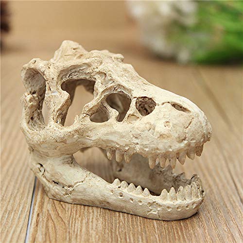 Decoración de acuario de Halloween Esqueleto Agujero Resina Dinosaurio artificial Cráneo Esqueleto Ornamento - Tanque de peces Cráneo Acuario Decoraciones cueva Paisajes Mascota Reptil Casa
