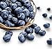 Jewel Blueberry 300+ Seeds + 1 Free Plant Markers