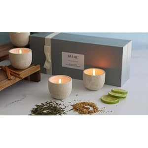 BLUEME Balance White Lotus Tea Focus Eucalyptus Lime Nostalgia Bergamot Musk Calm Osmanthus Sandalwood 4pk Wellness Travel Candle Votive Sustainable Contains Essential Oil Soy Wax Blend