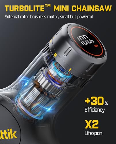Fanttik F2 Master Mini Cordless Rotary Tool Kit 4V & Fanttik TurboLite W10 APEX External Rotor Brushless Motor Mini Chainsaw Cordless with 3 Speed Adjustment