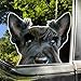 2-Pack Black Scottish Terrier Car Decal Sticker, 5.51