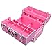 SHANY Essential Pro Makeup Train Case Cosmetic Box Portable Makeup Case Cosmetics Beauty Organizer Jewelry storage with Locks, Multi Compartments Makeup Box and Shoulder Strap - Pink