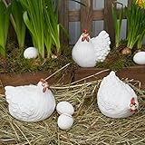 Die Hühner haben alle folgende Maße: 14x13xH12,5cm. Die Dekoration gehört nicht zum Lieferunfang. Den Winter sollten die Hühner nicht in freien verbringen. Sie sind wetterfest aber nicht frostfest.