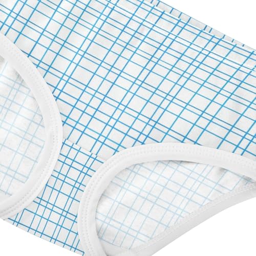 Light Blue Grid Plaid Girls' Breathable Triangle Panties Organic Underpants for Toddlers in Sizes 2T,3T, 4T, 5T, 6Y and 8Y4