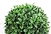 8 Inch Boxwood Ball Artificial Home Décor Premium Quality