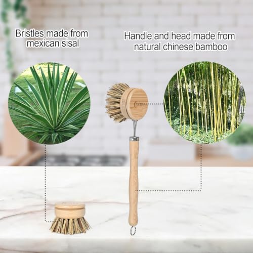 Image of Bamboo Dish Scrubber with Handle - Hard Bristle Natural Bristle Brush Sustainable & Biodegradable Kitchen Scrub Brush for Dishes Pans and Pots