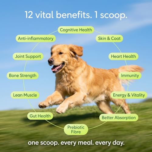 Image of Daily Dog Supplement | Probiotics for Dogs | Supports Gut Health, Joint Health, Skin and Coat | Multivitamin | 12-in-1 Vet-Formulated | Glucosamine + Chondroitin | Omega-3 | 300g