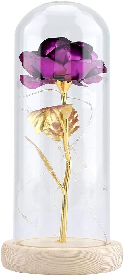 GOTOTOP Beauty And Beast Rose LED Light with Glass Cover and Wooden Base Wedding Gift for Valentine's Day purple