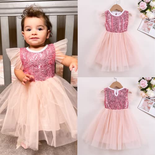 Baby Girl Tulle Tutu Dresses Sequin Tutu Skirt Pink Toddler Girls Spring Summer Outfit Dance Party Dress Special Occasion Dresses Babe Girl Fluffy Princess Dress 12-18 Months #TOP2