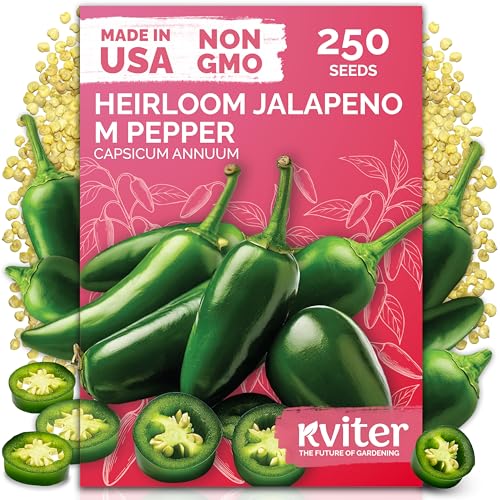 KVITER 250 Jalapeno Peppers M Heirloom Seeds (Capsicum annuum) Jalepeno Chili Hot Peppers Mexican Pepper Seed Packets Vegetable Seeds for Planting Outdoor & Indoor Garden Containers Raised Beds