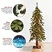 National Tree Company 3 ft Pre-Lit Hickory Cedar Mini Artificial Christmas Tree, 50 Clear Lights, 139 Tips, Metal Plate Base, Green