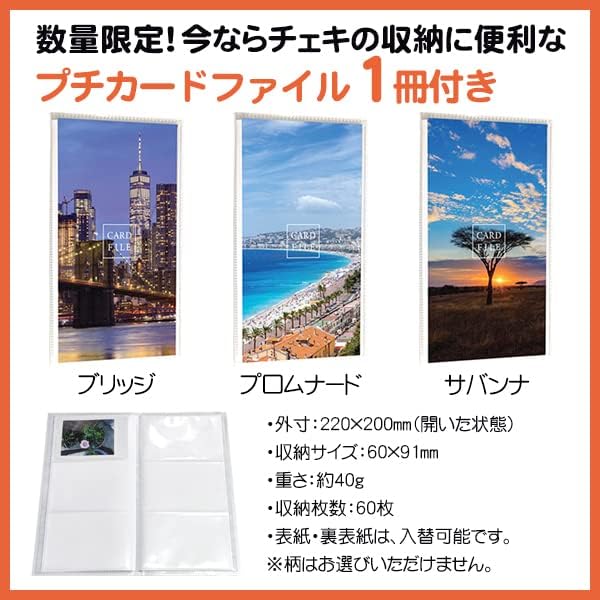INSTAX Pal 本体 ピスタチオグリーン ＆ フイルム100枚 ＆ プチカードファイル1冊セット 【メモリーカード】