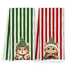 Color-christmas Decor 17