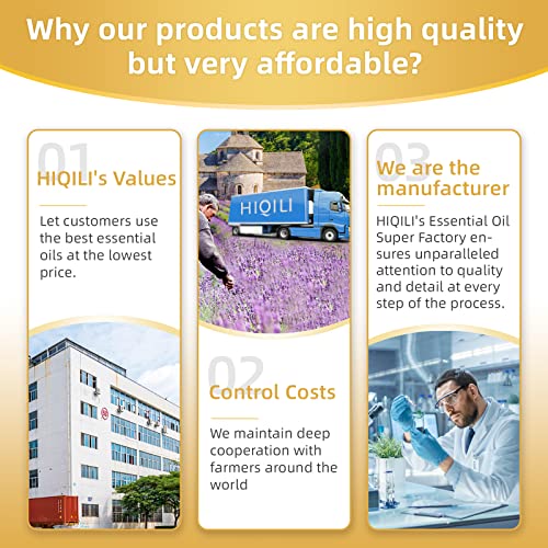 Image of HIQILI 16 Fl Oz Ginger Oil, 100% Pure Natural Ginger Essential Oil for Hair, Massage, Skin - 500ML