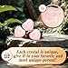 Crystals and Healing Stones Rose Quartz Heart Crystals 100% Natural Crystal Cute Mini Pocket Stones Palm Worry Stone Bulk Chakra Crystals and Stones for Women with Gift Box (20PCS)