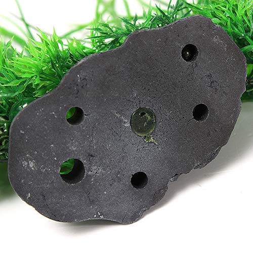 CJFael Decorazioni per Acquari Artificiali