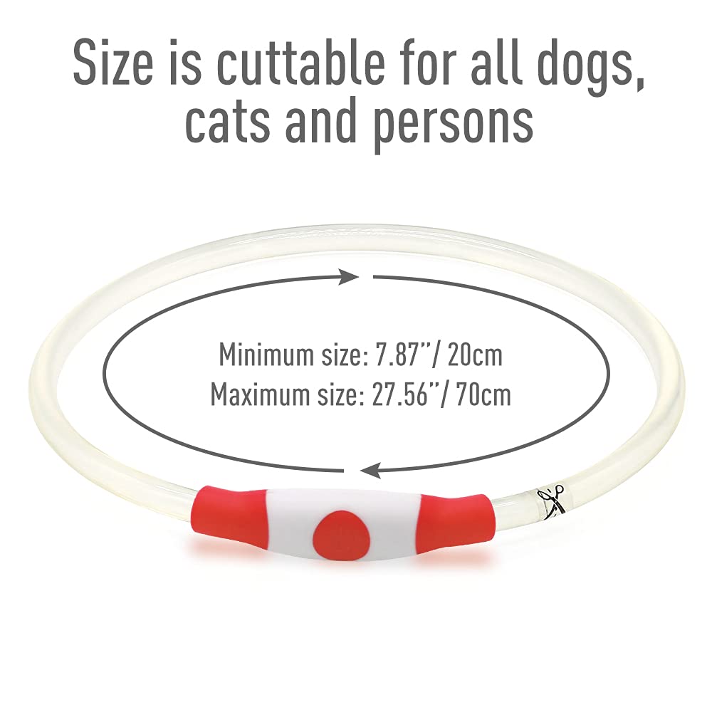 Colaseeme Collar de perro con luz LED, 1 unidad, recargable por USB, TPU, brillante, de seguridad, básico, para perros grandes, medianos y pequeños (rojo)