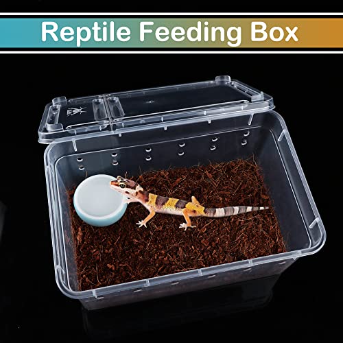 5 Pcs Spider Small Terrariums Breeding Box Transparent Hatching Container Plastic Feeding Box For Small Reptile Spider Scorpion Centipede Insect #TOP2