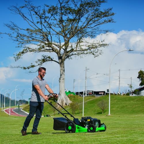 Cortador Grama a Gasolina Com Recolhedor 6,5CV 4 Tempos LF650RM Trapp