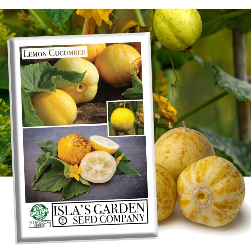 Lemon Cucumber Seeds For Planting,125+ Heirloom Seeds Per Packet, (Isla's Garden Seeds), Non Gmo Seeds, Botanical Name: Cucumis Sativus 'Lemon', Great Gift For Home Garden #TOP2