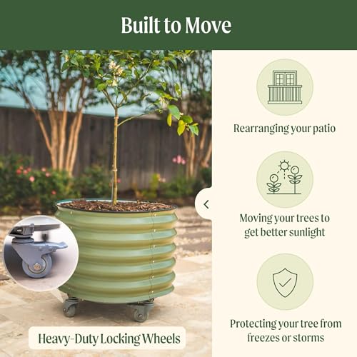 Image of Rolling Metal Citrus Tree Planter Gen 2, Self-Watering Round Large Pot for Growing Trees Tomatoes Outdoor Plants and Flowers, Raised Garden Bed with Wheels for Porch Patio & Backyard, Modern Gray