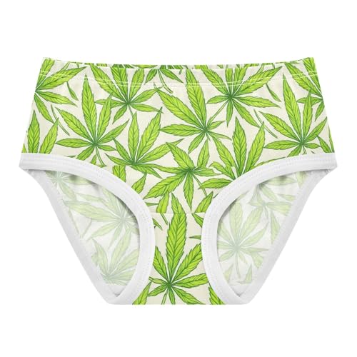 Joisal Cartoon Green Leaves Beige Girls Underwear Toddlers 2t Cotton Panties for Girl Flower Underpants Briefs